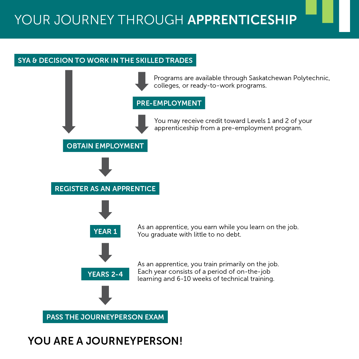 Your Journey Through Apprenticeship Chart